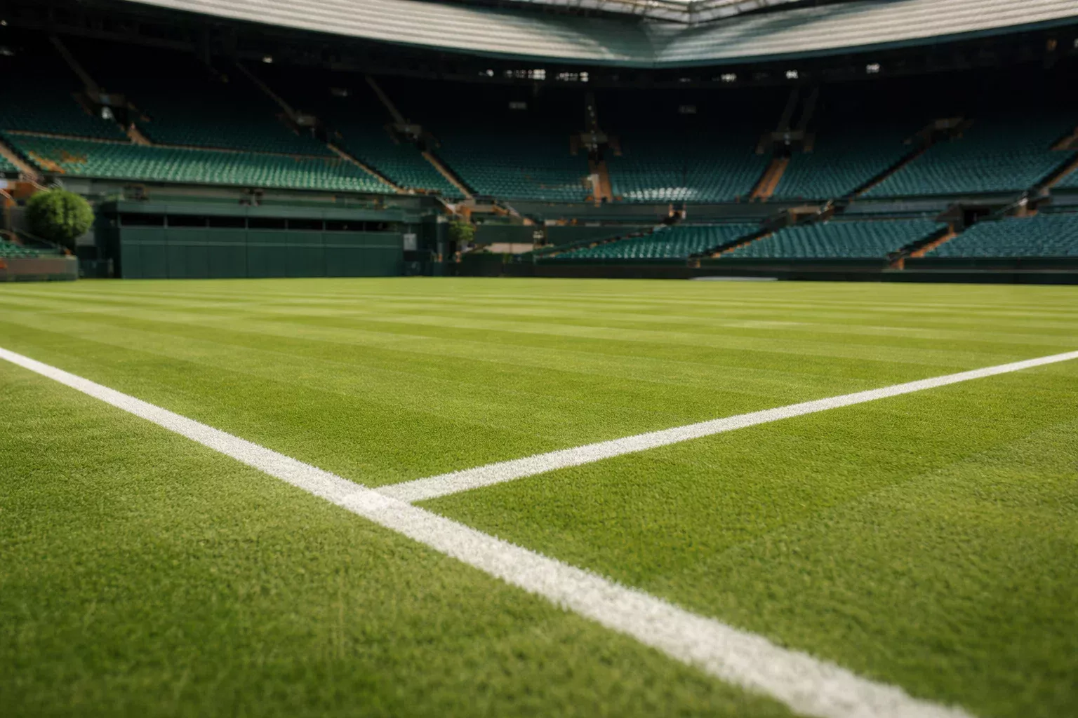 Césped verde perfectamente cortado de las pistas de Wimbledon